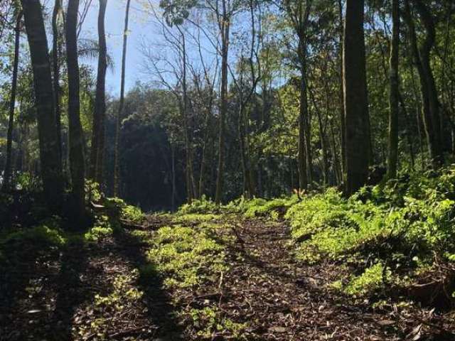 Terreno para Venda em Nova Petrópolis, Vila Olinda