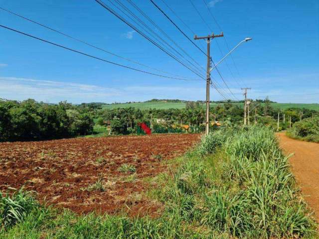 Terreno à venda, 4116 m² por R$ 450.000,00 - Zona Rural - Londrina/PR