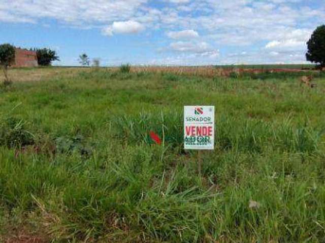 Terreno à venda, 1000 m² por R$ 150.000,00 - Primeiro de Maio - Primeiro de Maio/PR