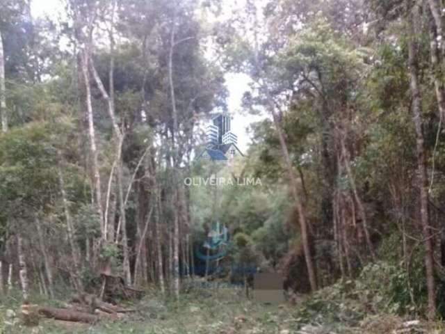 Terreno à venda no bairro Centro - Agudos do Sul/PR