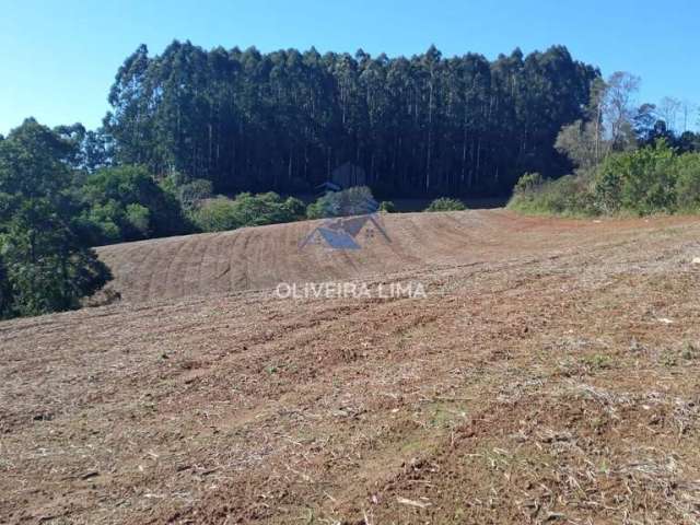 Terreno à venda no bairro Centro - Agudos do Sul/PR