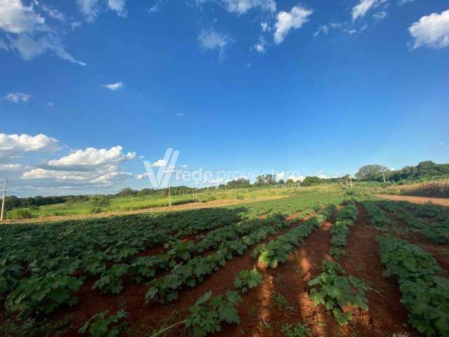 Terreno comercial à venda na Armando Botasso, 5980, Betel, Paulínia por R$ 10.600.000