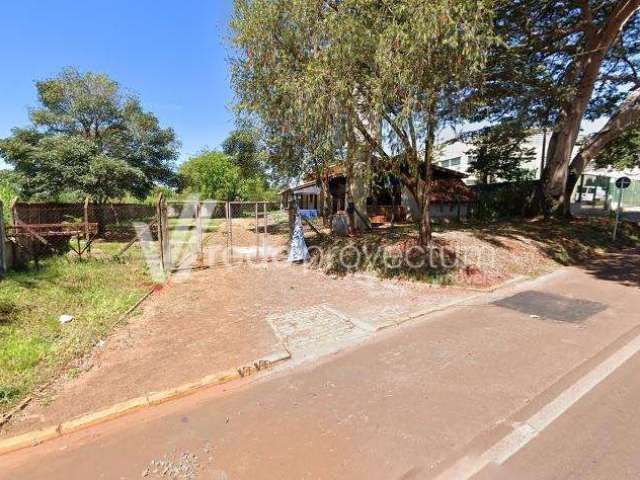 Terreno comercial à venda na Avenida Constante Pavan, 780, Betel, Paulínia por R$ 2.300.000