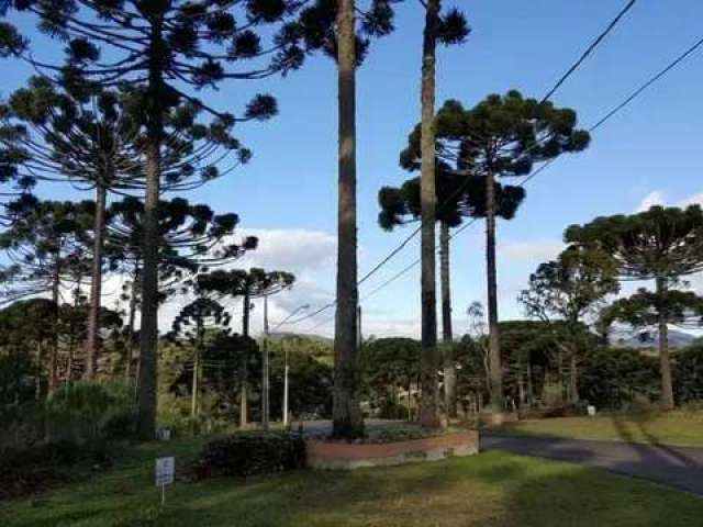 Terreno em condomínio de Alto Padrão