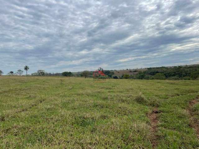 Fazenda na região de uberaba