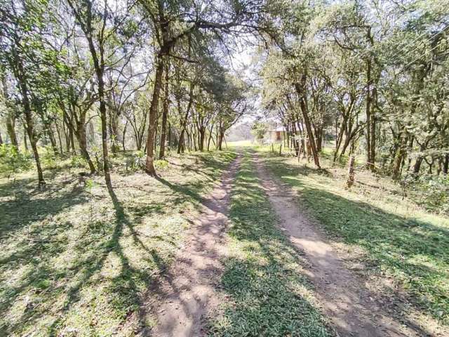 Chácara à venda, 33000 m² por R$ 680.000,00 - Zona Rural - São José dos Pinhais/PR