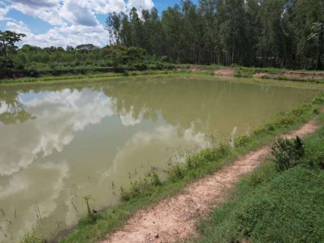 Fazenda eucalipto e piscicultura