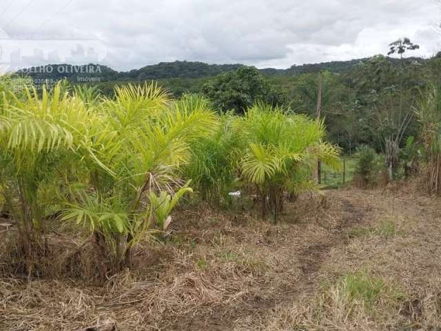 Sítio em Zona Rural  -  Registro