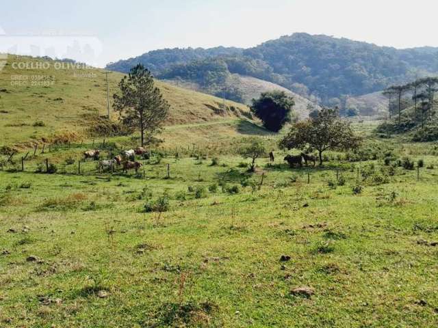 Sítio em  -   Juquiá SP