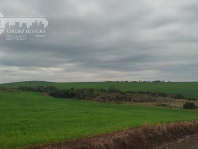 Fazenda em zona rural  -  Nova Laranjeiras