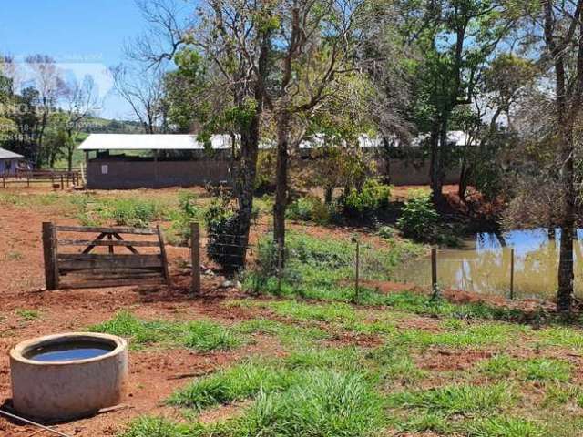 Fazenda em zona rural  -  Marquinho