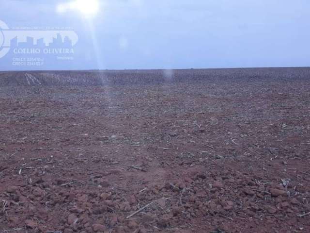 Fazenda em Zona Rural  -  Sorriso