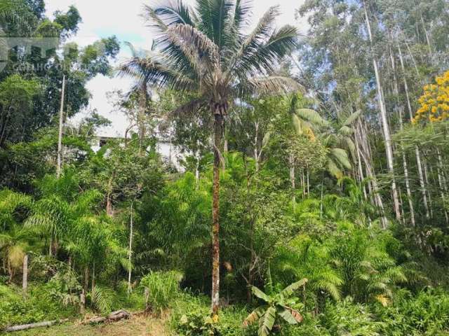 Sítio em Caçula  -  Juquiá SP