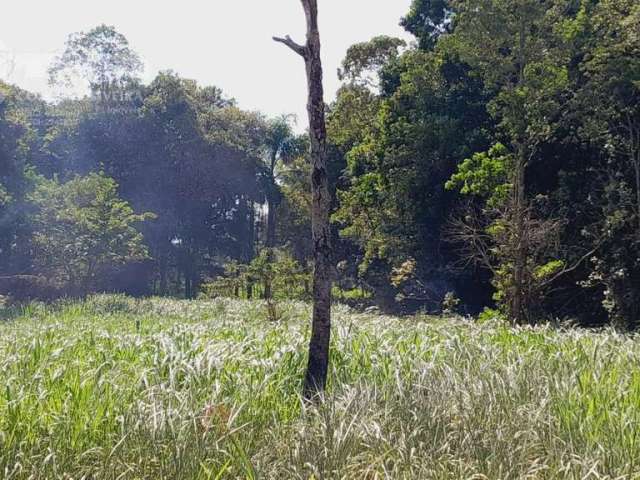 Terreno em Iguape SP Ivo Zanella  -  Iguape