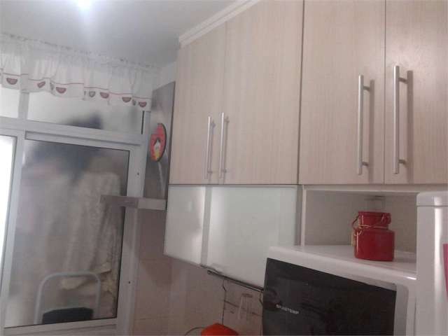 Apartamento com 3 quartos à venda em Vila Guilherme - SP