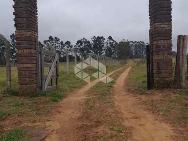 Terreno bem  grande otimo para loteamento.