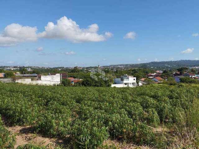 Terreno de 8ha - Campo Novo