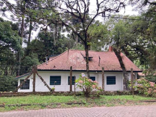 Terreno na Vila Suzana com 3.271 m2, com excelente potencial para empreendimentos