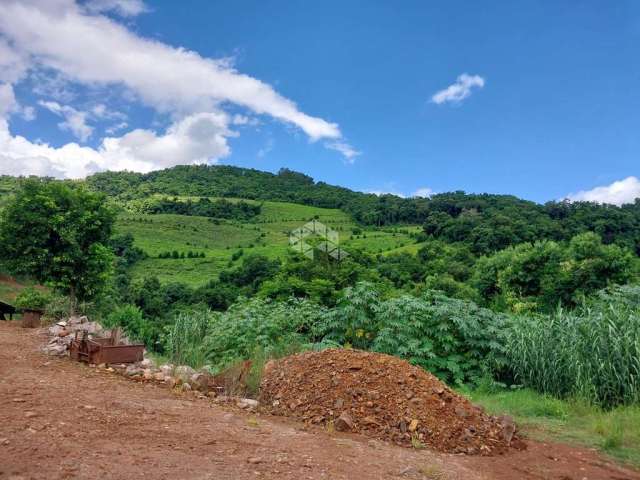 Excelente Área de terra parreirais produzindo.