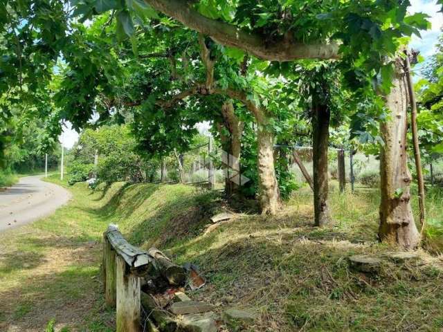 Área Rural em Monte Belo do Sul