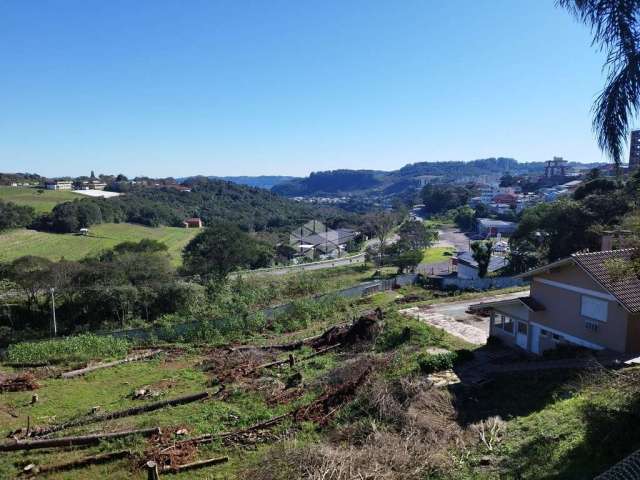 Terreno/lote comercial de frente para a BR 470 em Bento Gonçalves