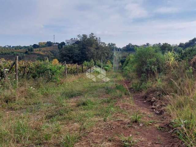 Área rural na via trento Vale dos Vinhedos