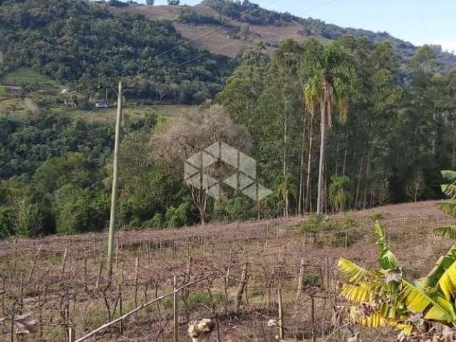 Chácara, sítio, parreiras, lago e natureza