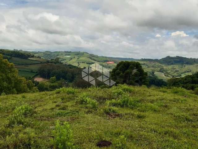 sítio de 7.8 Hectares na Linha Palmeiro São Pedro