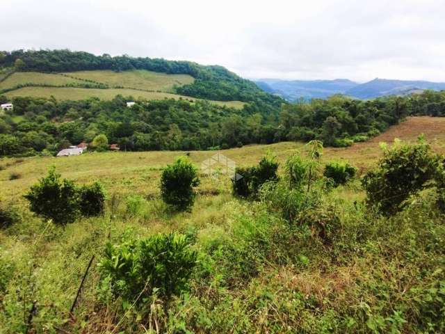 Chácara produtiva dos sonhos na Serra Gaúcha: viva em meio à natureza e prosperidade!