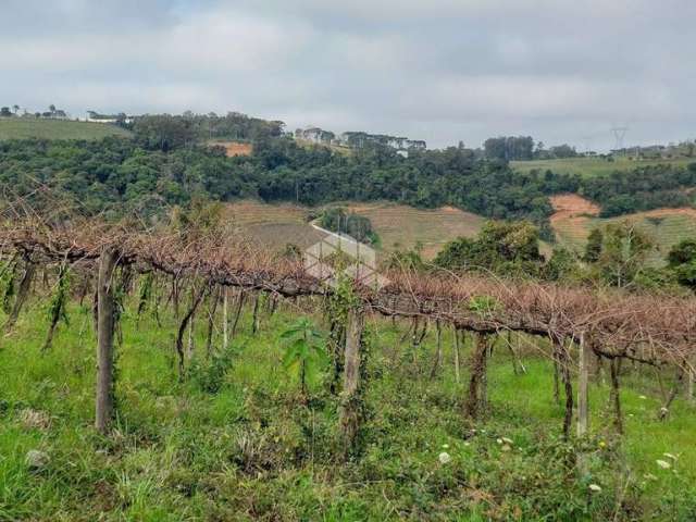 5 hectare de terra no interior de Pinto Bandeira