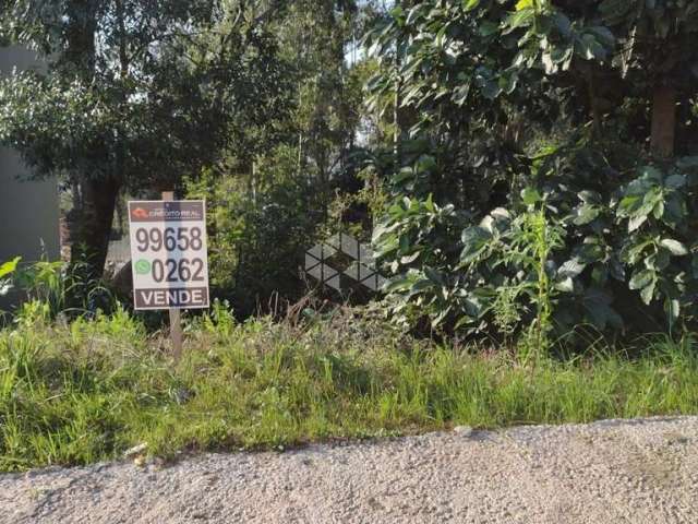 Terreno à venda na Alfredo Francisco Giacomello, 361, Santo Antão, Bento Gonçalves, 600 m2 por R$ 370.000