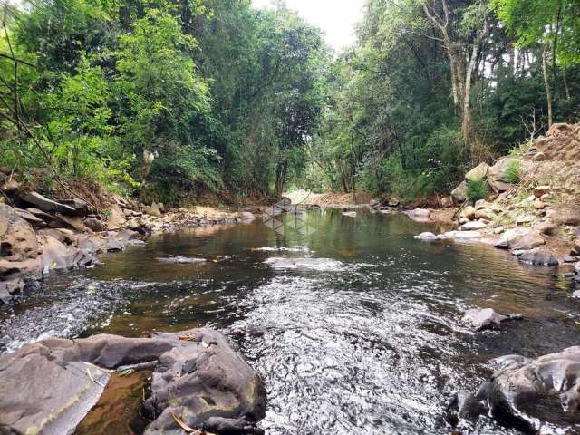 Terra de 2 ha no Vale dos Vinhedos