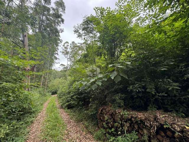 ÁREA COMPOSTA POR 5,5ha ESCRITURADA