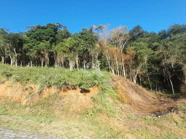 Terreno no bairro Morro da Bina, em Biguaçu- SC