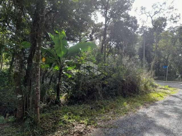 Terreno em Canto Grande/Mariscal Bombinhas  SC