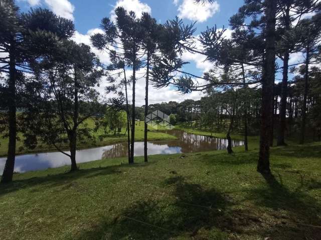 Terreno a venda com potêncial para Sítio em Canela