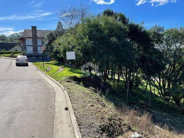 terreno 600m² localizado bairro caniel