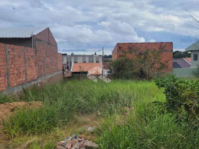 Terreno medindo 330m² pronto para construir no bairro Olaria.