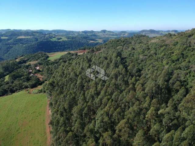 Área Rural a venda em Canudos do Vale/RS