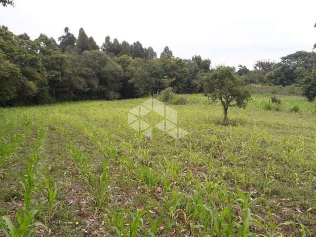 Área de Terras a venda com benfeitorias em Estrela