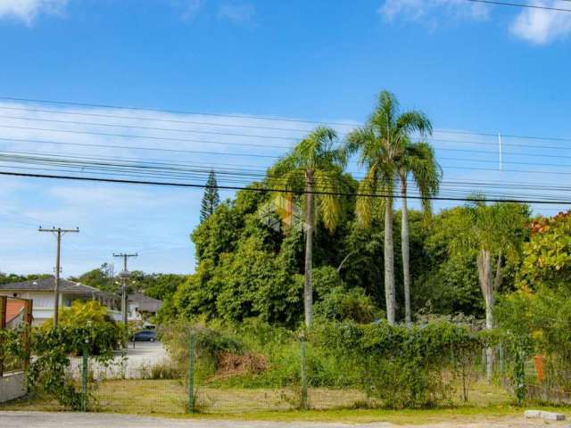 Terreno na lagoa da conceição com aerea mista.