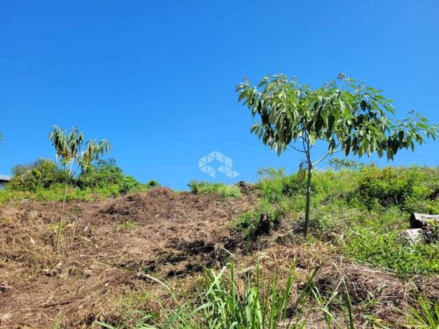 Ótimo terreno de 903,60m2 no Bairro São Luiz em Caxias Do Sul