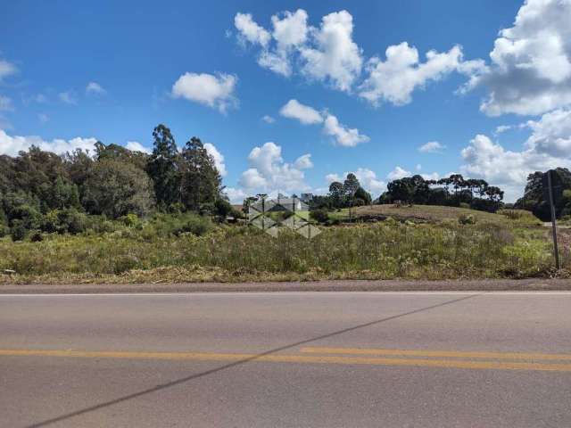 1 ha de terras em forqueta de fronte para a rodovia vicinal mato perso em caxias do sul