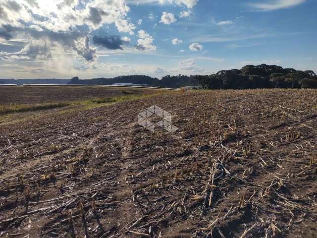 Lote de terras 15,18 Ha na Forqueta em Farroupilha