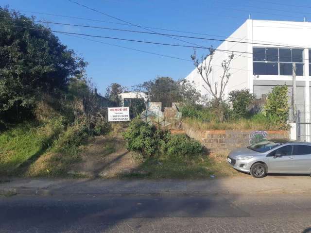 Terreno na Av. Manoel Elias em Porto Alegre