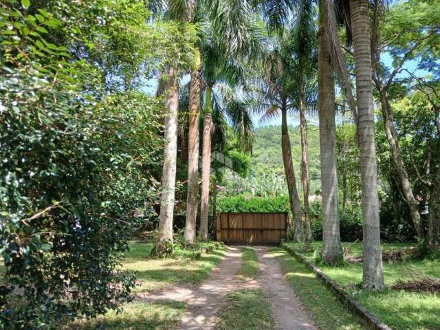 Terreno com pomar e casa com 11.280,00 m² localizado em Ratones, Florianópolis/SC