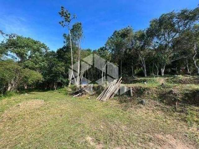 Terreno em Santo Antônio de Lisboa! 27998 m2 com viabilidade