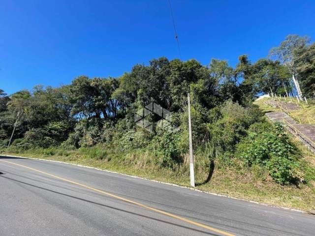 Amplo terreno com duas frentes em Garibaldi