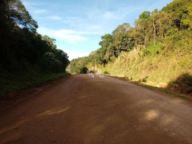 Terreno no Coronel Pilar