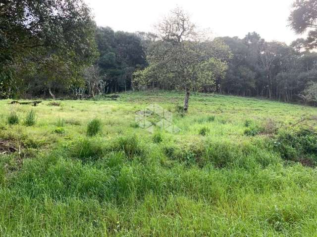 Terreno próximo ao parque da Fenchamp na BR 470 em Garibaldi